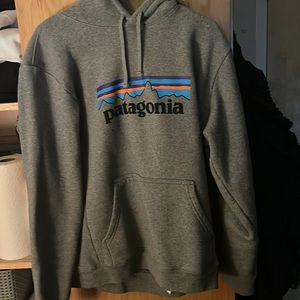 Men's Medium Patagonia Hoodie.